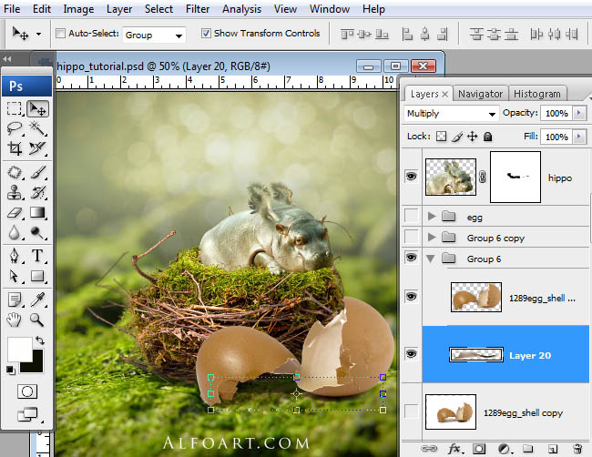 hippo, photoshop, nest, egg, shell, flying hippo, cute, baby, wings, hippopotamus, feathers